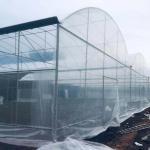 Agricultural Polyethylene Foil Greenhouse Hot Galvanized Steel Structure Multi
