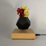 magnetic suspension air bonsai, flying plant ,levitation flower pot