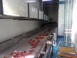 Wholesale China Suppliers General Industrial Conveyor Equipment Fixed Belt Conveyor from china suppliers