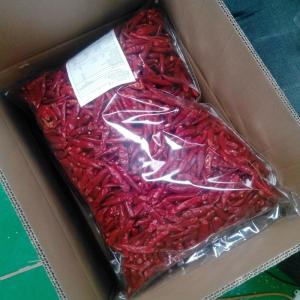 Wholesale Pungent Spice Tianjin Red Chilies Freshly Harvested For Cooking from china suppliers