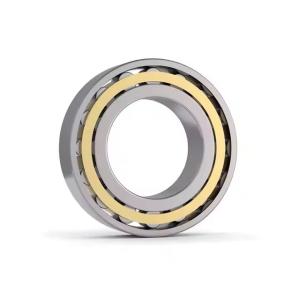 Wholesale Machine Parts N1060 Cylindrical Roller Bearing Steel Professional Bearing Manufacturer from china suppliers