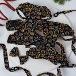 Reversible Small Dog Harness And Leash Set Luxury Fashion Dog Walk Set