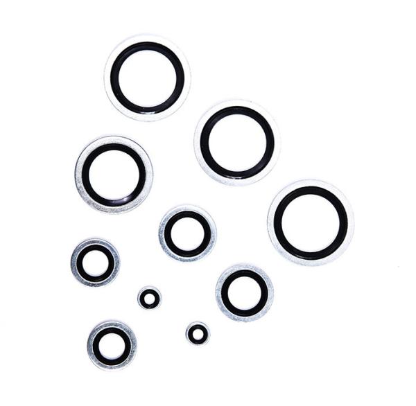 Self Centralising 304 Stainless Steel Dowty Seal Gasket NBR Rubber Bonded Seal