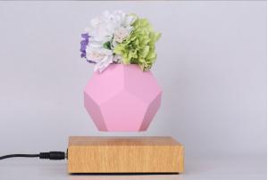 Wholesale LYFE levitating planter,MAGNETIC levitation air bonsai tree pot plant from china suppliers