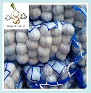 Wholesale Best white garlic ,fresh garlic New Cold Storage Chinese Fresh Pure Garlic from china suppliers