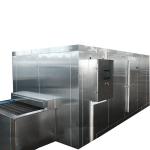 Fish Seafood Cryogenic Liquid Nitrogen IQF Tunnel Freezer