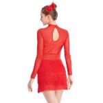 Long Sleeves Stunning Tap Costume Rows Fringes Mock Neck Dance Dress Performance