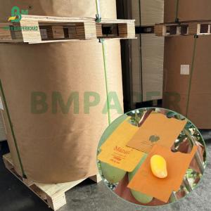 Wholesale 54g 56g Single Or Double Layer Mango Fruit Growing Protection Cover Bag Paper from china suppliers