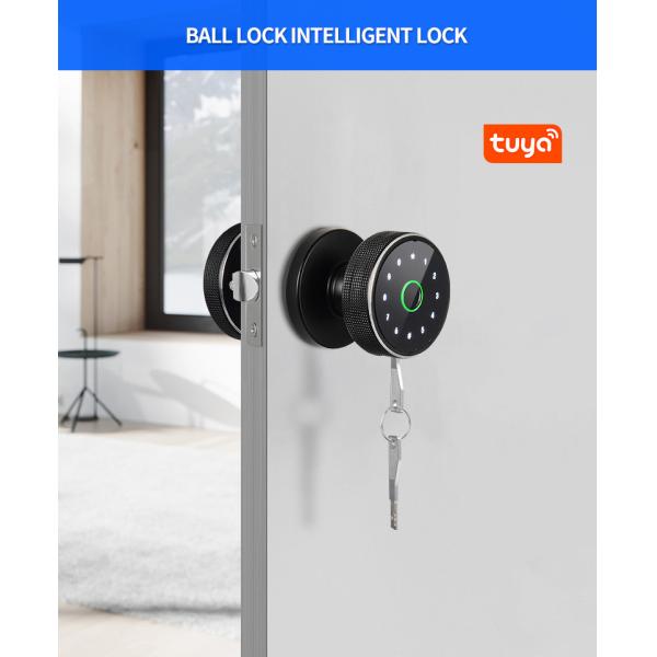 Waterproof Fingerprint Smart Door Lock Multiple Colors Outdoor Smart Lock