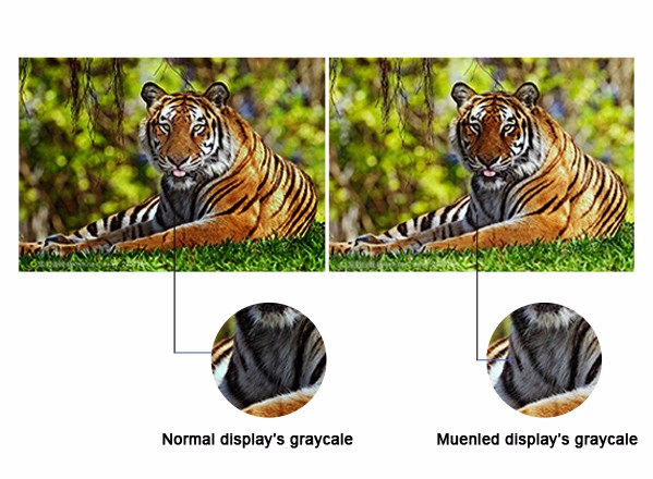 P8 P10 Full Color Outdoor Display Panel Billboard Tv Modules Price For Sale Led Screen Module P10