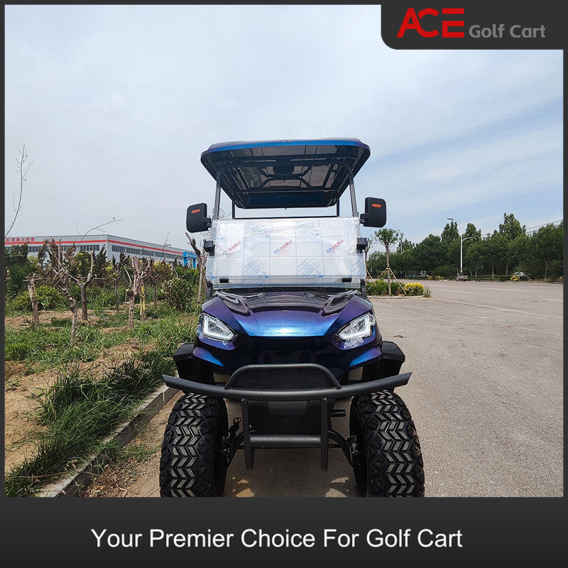 EV Custom Golf Cart 4000W 4 Passengers Four Wheel Electric Tricycle