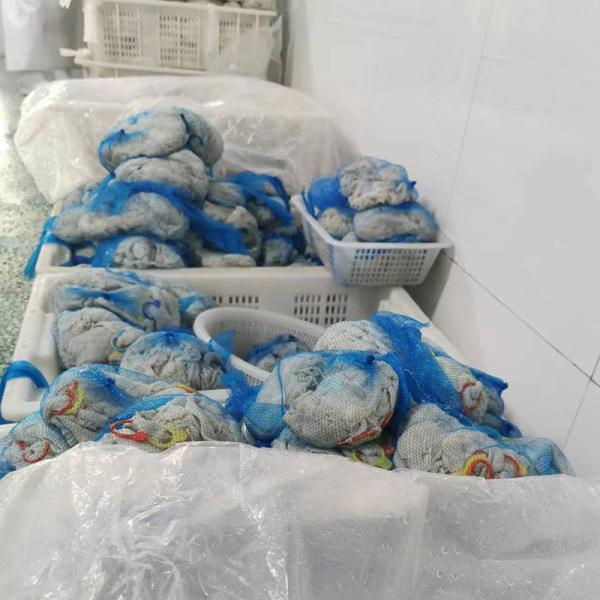 14-16mm Sheep Hot Dog Casing High Permeability Good Contraction