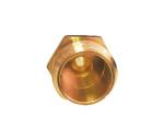 Blow Out 3/4NH-11.5 Brass Hose Quick Connect Lead Free