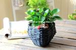 wicker basket manufacturer wicker garden basket willow plant baskets