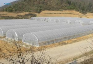 Wholesale Hot Dip Galvanized Area Ecological Agricultural Greenhouse Plastic Film Greenhouse from china suppliers