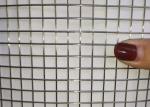 Galvanized 1/2inch Stainless Steel Welded Wire Mesh 10.5kg