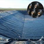 1mm 1.5mm HDPE Geomembrane Liner for Shrimp Pond Aquafarm After-sale Service