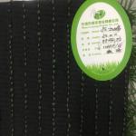 Natural Feeling Mini Artificial Grass Soccer Field / Fake Lawn Turf For Football