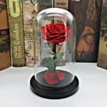 Preserved Rose Flower Box The Big Prince for Beautiful Gifts Christmas gift