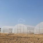 Metal Frame Hothouse Vegtable Hoop House High Tunnel Greenhouse with Rolling