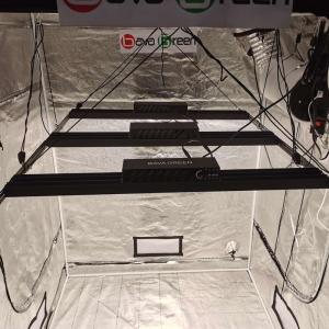 Wholesale ETL Foldable 730nm Samsung LM301B LM301H 600w Bar Grow Light from china suppliers