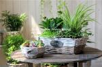 wicker basket manufacturer wicker garden basket willow plant baskets stock fast