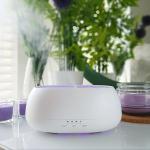 HOMEFISH Drop Shipping Electric Mini Humidifier Ultrasonic Aroma Humidifier