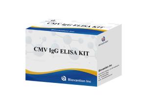 Wholesale Laboratory Or Hospital High Accuracy CMV IgG Elisa Test Kit from china suppliers