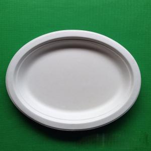 China Medium size biodegradable fish dish sugarcane BBQ fish plate for picnic on sale