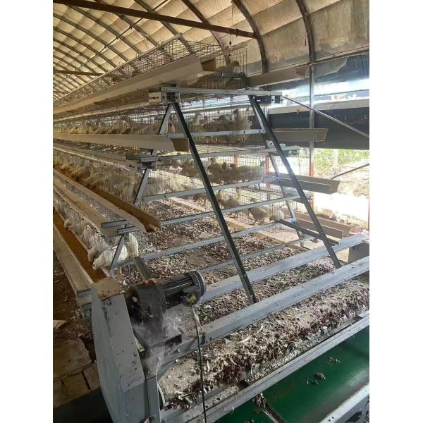 Fully Automatic A Shape Layer Cage with Hot-DIP Galvanized Steel for 15-20 Broilers/Layer in 4-8 Tier Configuration