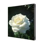 P3.9 Outdoor Fixed LED Display Screen 1000x1000mm Aliuminum Profile Cabinet