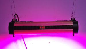 Wholesale Cidly 250W LED Grow Lights Full Spectrum customized freely from china suppliers