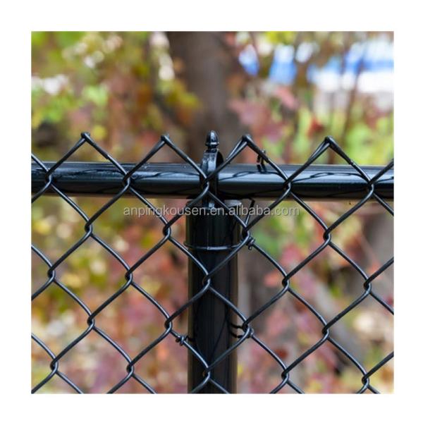Galvanized PVC Coated Low Carbon Steel Wire Chain Link Fence for Farming in 50ft Roll
