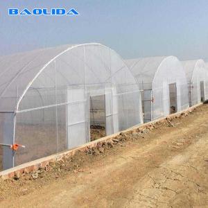 Wholesale High Tunnel Vegetables Planting Single Span Vegetable Tunnel Plastic Film Greenhouse from china suppliers