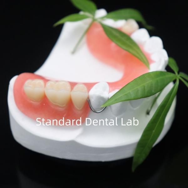 High Esthetics Dentsply Lucitone 199 Acrylic Denture acrylic resin for dentures