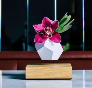 Wholesale white pot magnetic levitation air bonsai, floating display plant pot tree from china suppliers