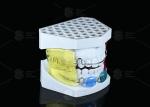 Children And Adults Frankel II Appliance Supporting Occlusion Recovery