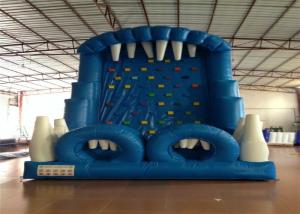 Wholesale Blue Rock Climbing Bounce House 6 X 4m Commercial Inflatable Ladder Climb from china suppliers