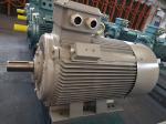 55KW Slip Ring Induction Motor High Torque 75HP 3 Phase Motor Low Rpm