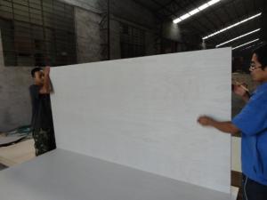 China Full Poplar Plywood poplar core on sale