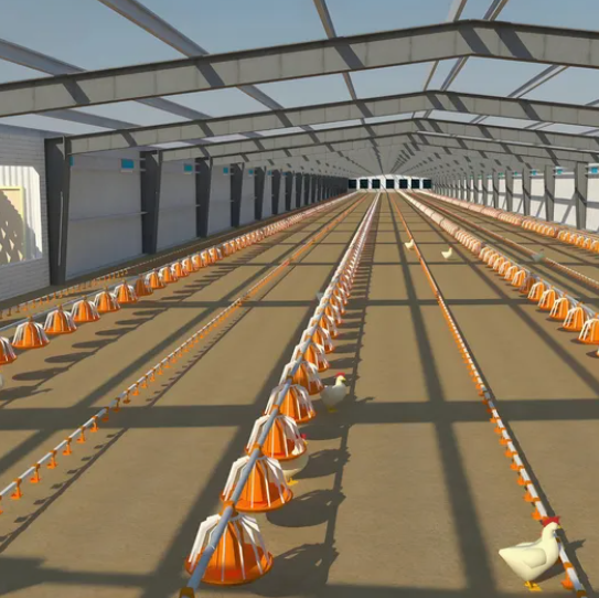 Labor-Saving Integrated Poultry House with Automated Feeding System, Forced Ventilation, and High Energy Efficiency