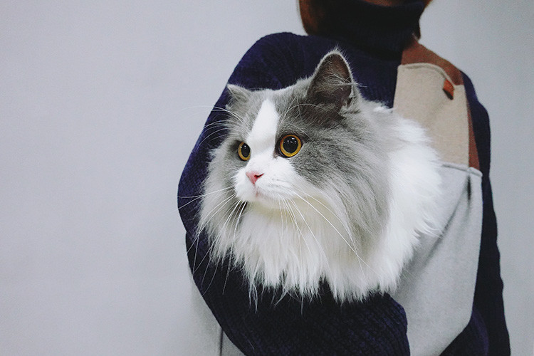 Cat Personalised Pet Accessories Large Dog Sling Carrier 10kg 15 Lbs 20 Lbs 25 Lbs 30 Lbs