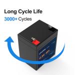 Rechargeable 12v 6ah Lifepo4 Battery LFP Lithium Ion Batteries