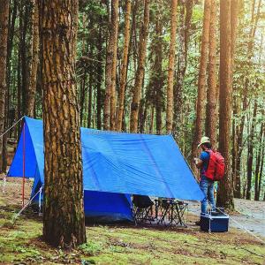 Wholesale 100% Virgin PE Tarpaulin for Truck and Tent Waterproof Other Fabric PE Tarpaulin Made from china suppliers