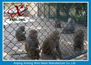 Wholesale PVC Coated Chain Link Fence For Building Site / Courtyard / Park from china suppliers