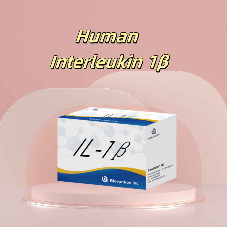 Human Elisa Human Interleukin 1β(IL-1β) For Research Use Only