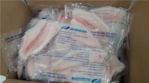 China Nutritious Fresh Frozen Seafood Tilapia Fillets Products Rich Vitamin And Mineral on sale