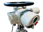 220V Electric Straight Stroke Valve Actuator