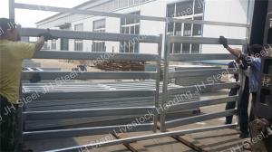 Wholesale Hot Dipped Galvanized Cattle Yard Panels 5 6 Bars Cattle Horse Corral Panels from china suppliers