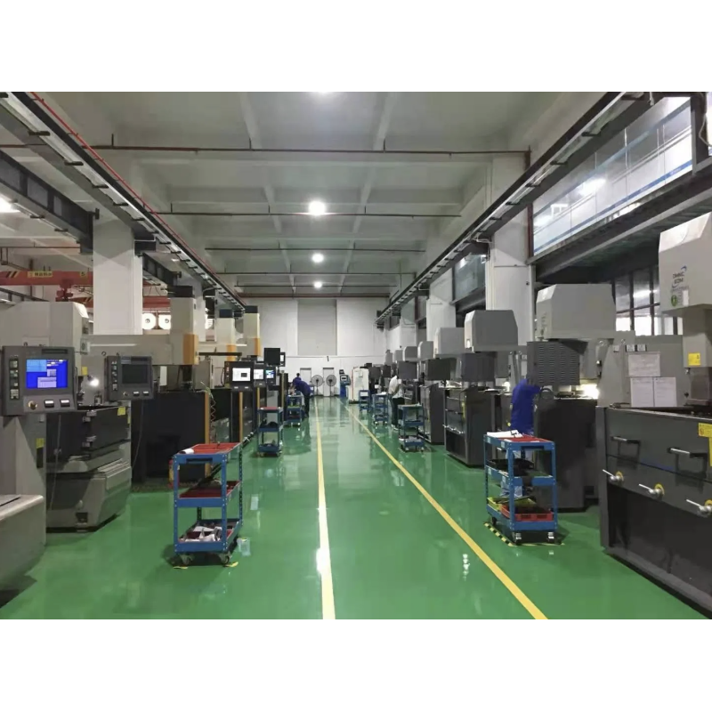 High Precision Multi Cavity Hot Runner Plastic Injection Mould for Custom Cable Tie Mold